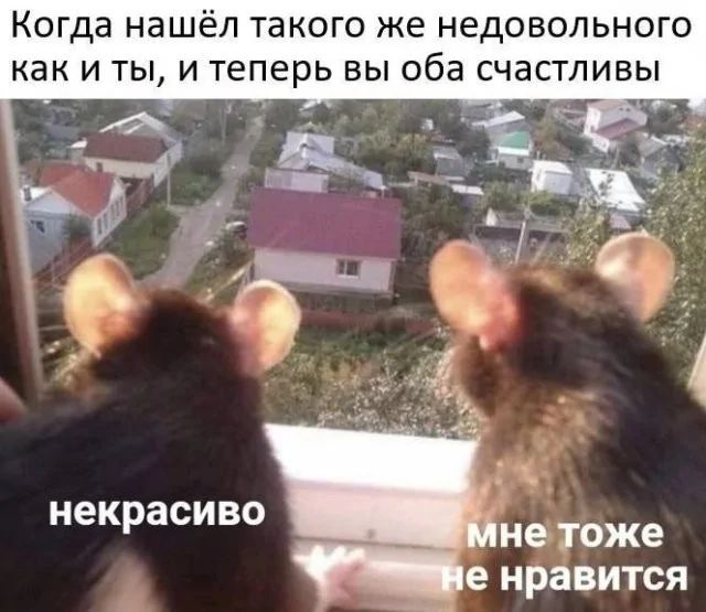 Когда нашёл такого же недовольного как и ты, и теперь вы оба счастливы
неприглядно
мне тоже не нравится