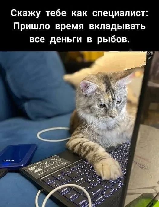 Скажу тебе как специалист: Пришло время вкладывать все деньги в рыбов.