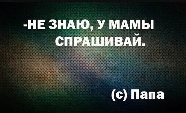 -НЕ ЗНАЮ, У МАМЫ СПРАШИВАЙ.
(c) Папа
