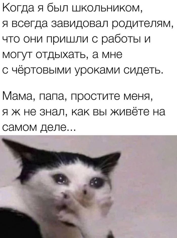 Когда я был школьником, я всегда завидовал родителям, что они пришли с работы и могут отдыхать, а мне с чёртовыми уроками сидеть. Мама, папа, простите меня, я ж не знал, как вы живёте на самом деле...