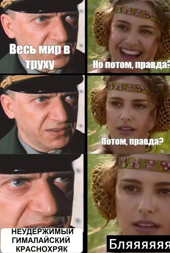 Весь мир в труху
Но потом, правда?
Потом, правда?
НЕУДЕРЖИМЫЙ ГИМАЛАЙСКИЙ КРАСНОХРЯК
БЛЯЯЯЯЯЯЯ