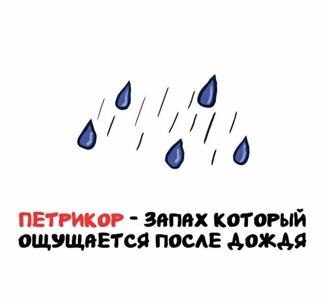 ПЕТРИКОР - ЗАПАХ КОТОРЫЙ ОЩУЩАЕТСЯ ПОСЛЕ ДОЖДЯ