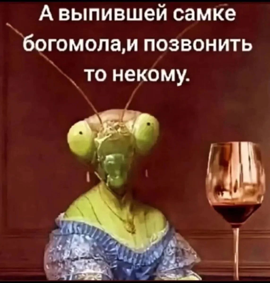 А выпившей самке богомола, и позвонить то некому.