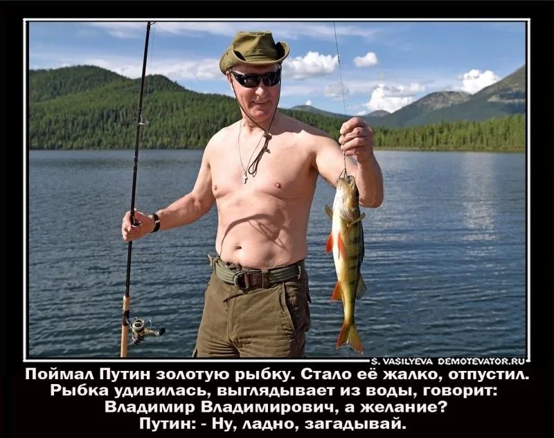 Поймал Путин золотую рыбку. Стало её жалко, отпустил. Рыбка удивилась, выглядывает из воды, говорит: Владимир Владимирович, а желание? Путин: Ну, ладно, загадывай.