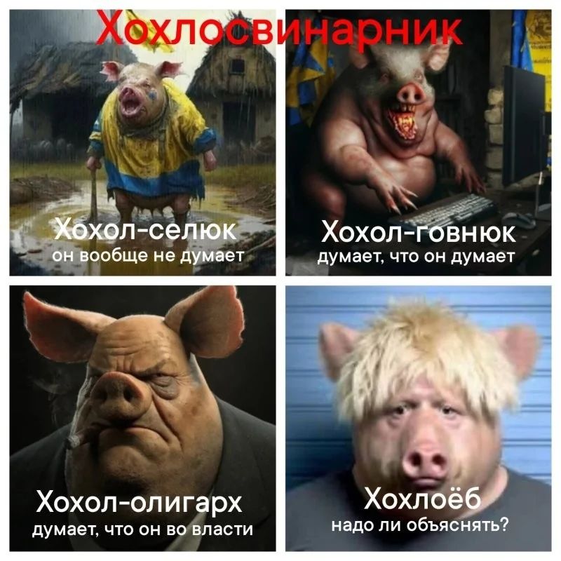 Хохлосвинарник
Хохол-селёк
он вообще не думает

Хохол-говнюк
думает, что он думает

Хохол-олигарх
думает, что он во власти

Хохлёб
надо ли объяснять?