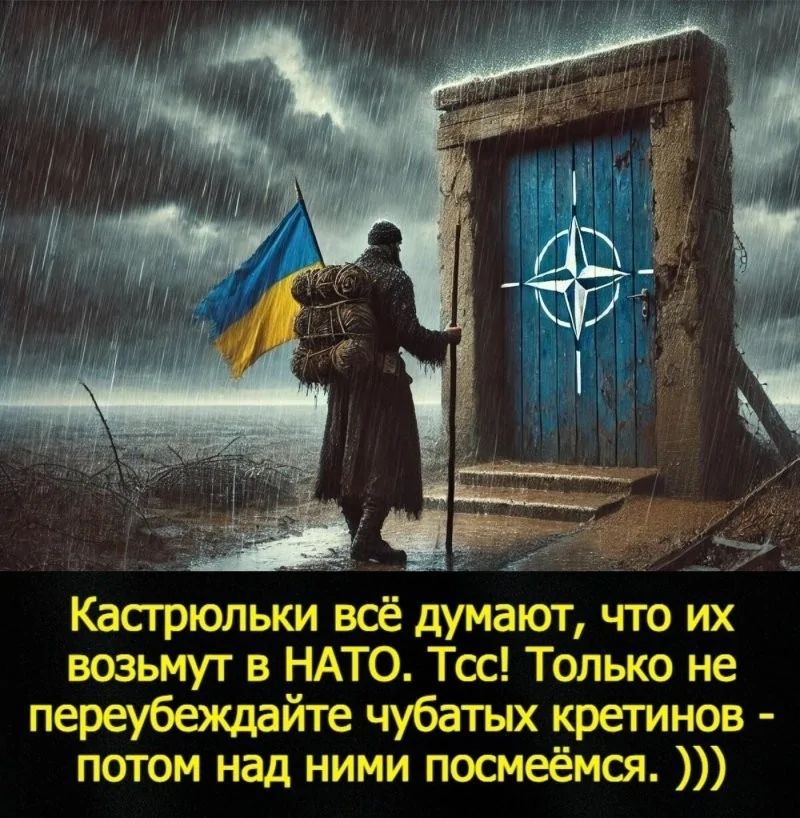 Кастрюльки всё думают, что их возьмут в NATO. Тсс! Только не переубеждайте чубатых кретинов - потом над ними посмёмся. )))
