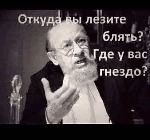 Откуда вы лезите, блять? Где у вас гнездо?