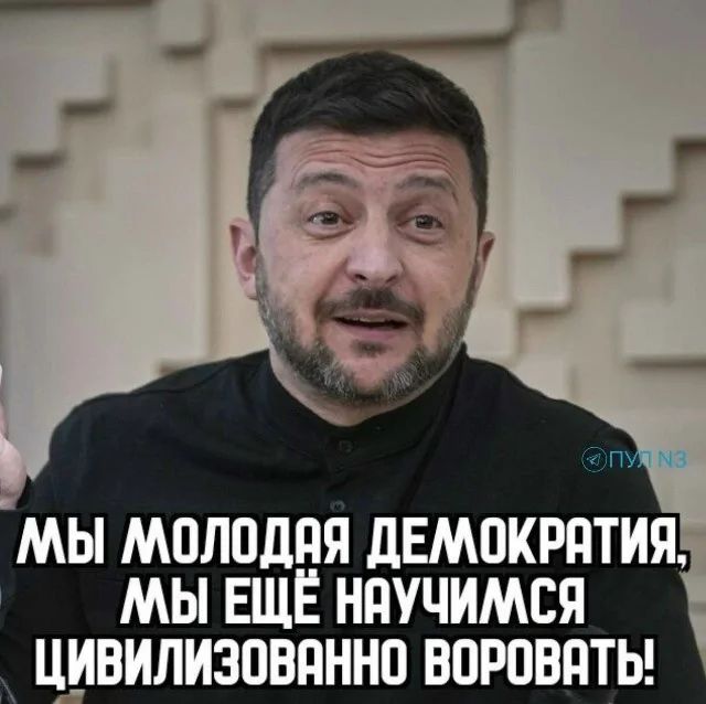 МЫ МОЛОДАЯ ДЕМОКРАТИЯ, МЫ ЕЩЁ НАУЧИЛИСЬ ЦИВИЛИЗОВАННО ВОРОВАТЬ!