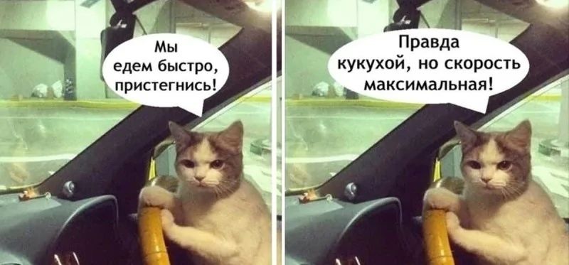Мы едем быстро, пристегнись!
Правда кукуй, но скорость максимальная!