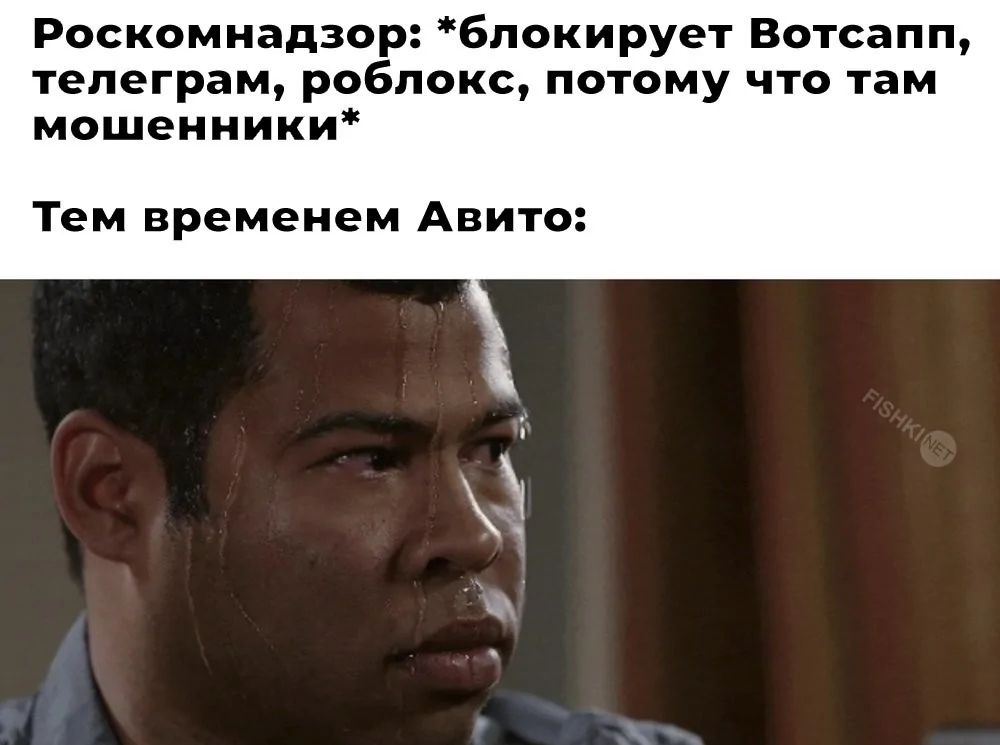 Роскомнадзор: *блокирует Вотсапп, телеграм, роблокс, потому что там мошенники* Тем временем Авито:
