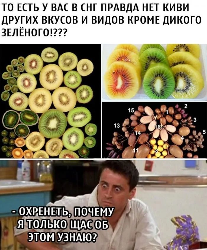 ТО ЕСТЬ У ВАС В СНГ ПРАВДА НЕТ КИВИ ДРУГИХ ВКУСОВ И ВИДОВ Кроме ДИКОГО ЗЕЛЁНОГО!???
- ОХРЕНЕТЬ, ПОЧЕМУ Я ТОЛЬКО ЩАС ОБ ЭТОМ УЗНАЮ?