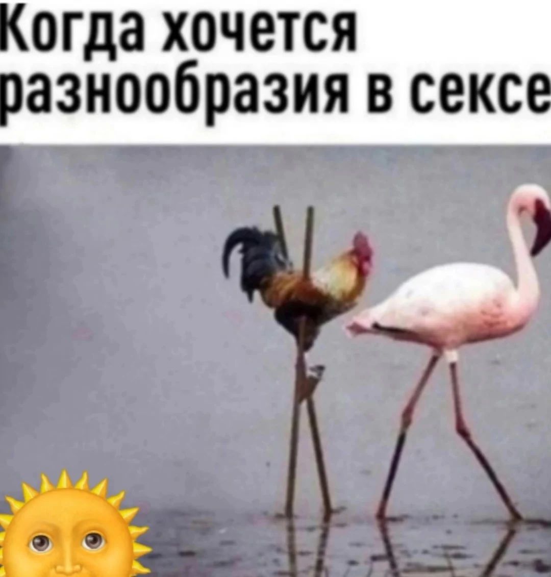 Когда хочется разнообразия в сексе