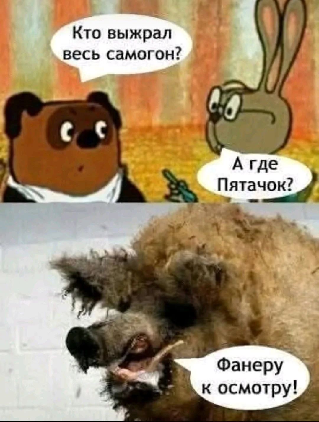 Кто выжил весь самогон?
А где Пятачок?
Фанеру к осмотру!