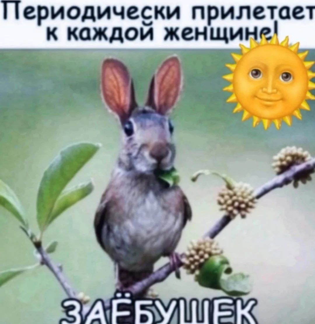 Периодически прилетает к каждой женщине
ЗАЁБУШЕК