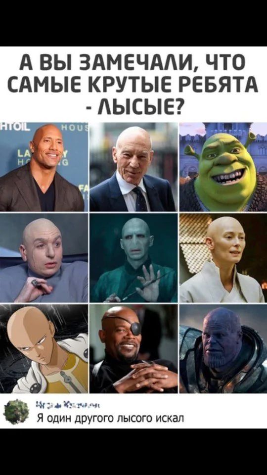А ВЫ ЗАМЕЧАЛИ, ЧТО САМЫЕ КРУТЫЕ РЕБЯТА - ЛЫСЫЕ? Я один другого лысого искал