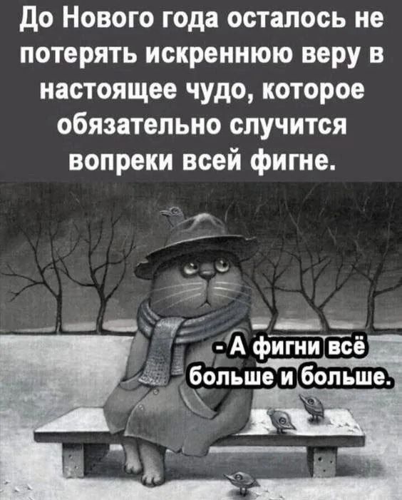До Нового года осталось не потерять искреннюю веру в настоящее чудо, которое обязательно случится вопреки всей фигне. - А фигни всё больше и больше.