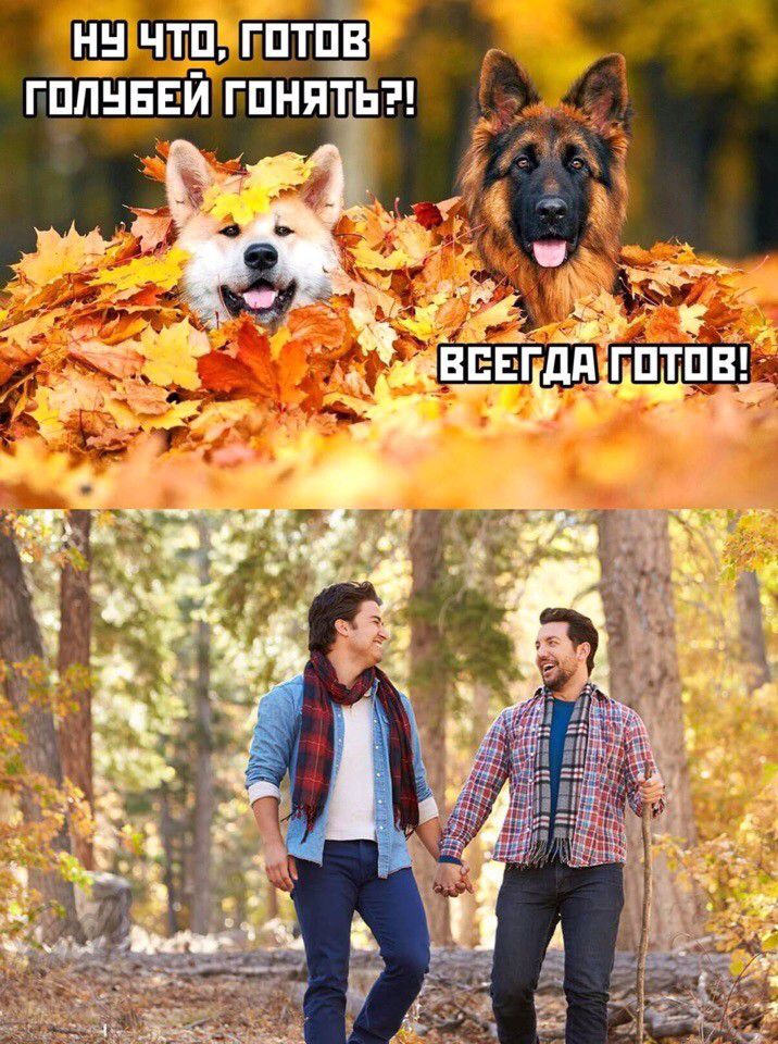 Ну что, готов голубей гонять?! Всегда готов!