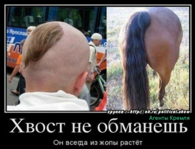 Хвост не обманешь Он всегда из жопы растёт
