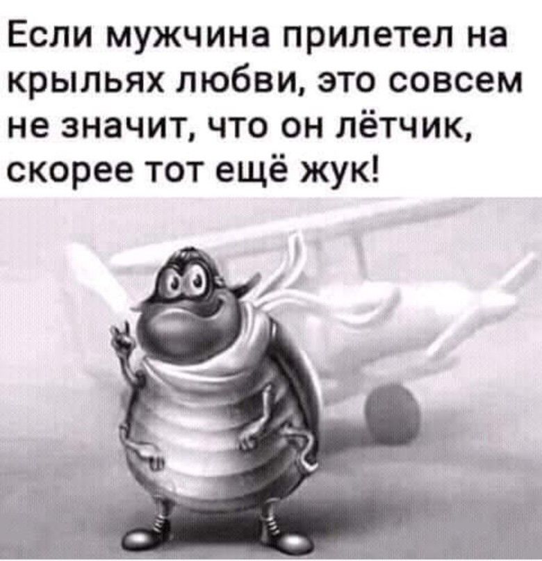 Если мужчина прилетел на крыльях любви, это совсем не значит, что он летчик, скорее тот ещё жук!