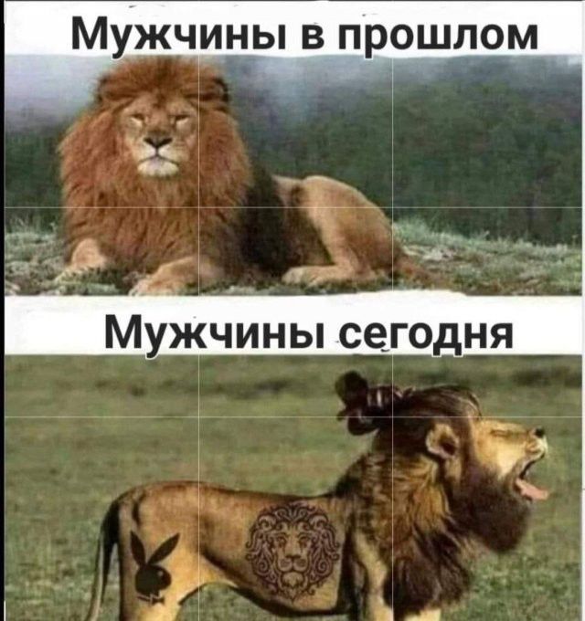 Мужчины в прошлом\nМужчины сегодня