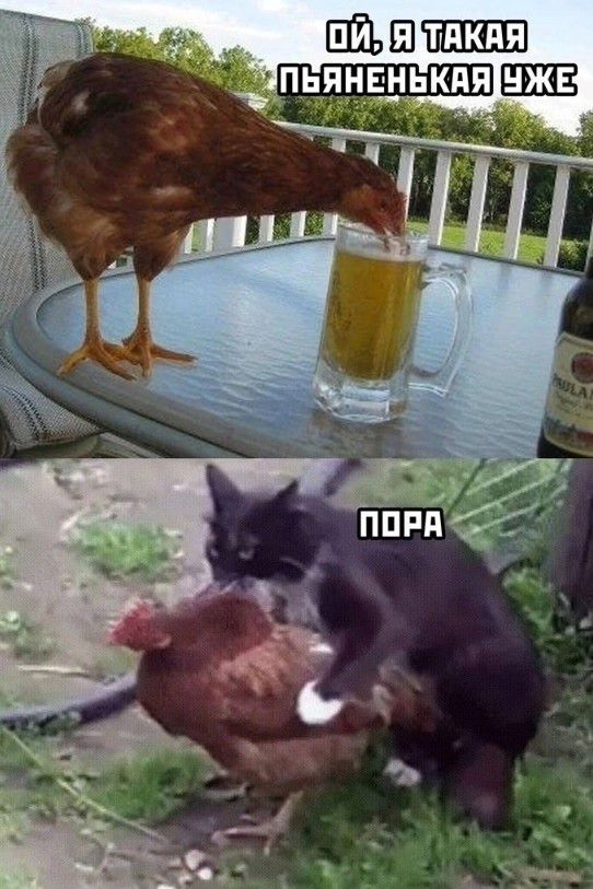 Ой, я такая пьянененькая уже. Пора