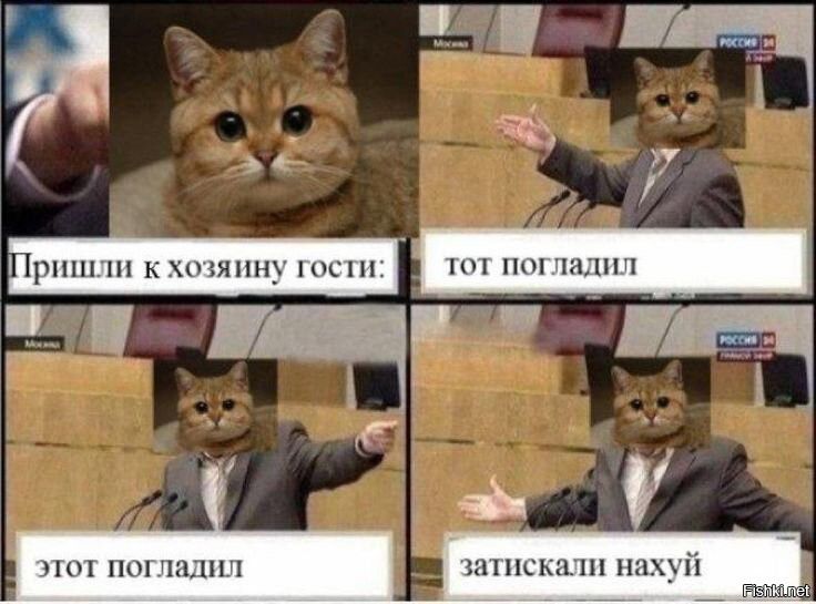 Пришли к хозяину гости: тот погладил этот погладил затискали нахуй
