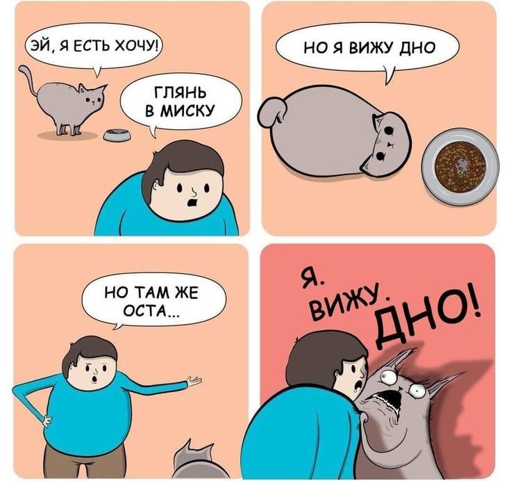 Эй, я есть хочу! Глянь в миску. Но я вижу дно. Но там же остана... Я вижу. ДНО!