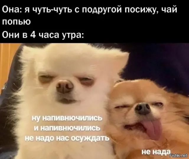 Она: я чуть-чуть с подругой посижу, чай попью
Они в 4 часа утра:
ну напивночились и напивночились не надо нас осуждать