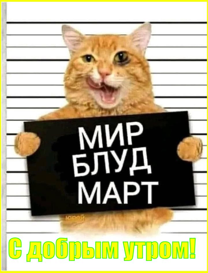 МИР БЛУД МАРТ
С добрым утром!