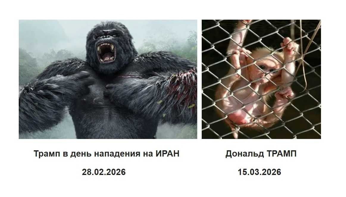 Трамп в день нападения на ИРАН 28.02.2026 Дональд ТРАПП 15.03.2026
