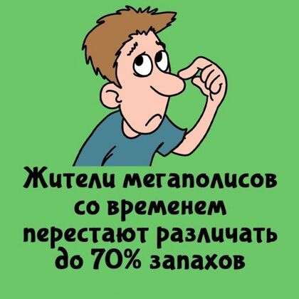 Жители мегаполисов со временем перестают различать до 70% запахов