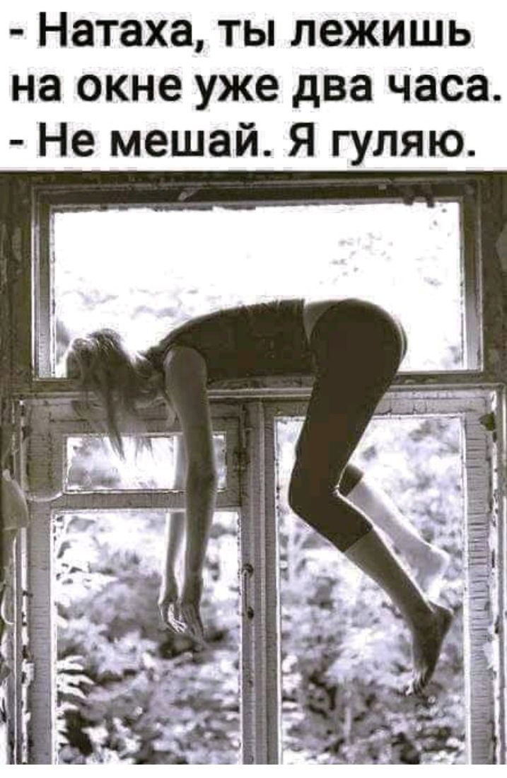 Натаха ты лежишь на окне уже два часа Не мешай Я гуляю
