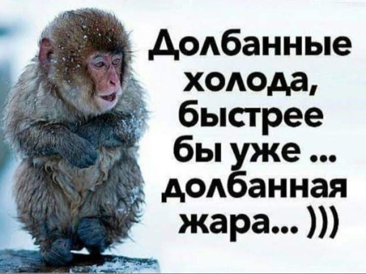 АсАбанные хомэда 13 51 быстрее бы __ дод анная жара