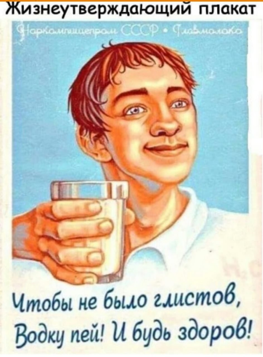 Жизнеутверждающий плакат Чтобы не было глистов Водку пей и будь здороб