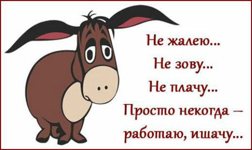 Просто некогда работаю ишачу