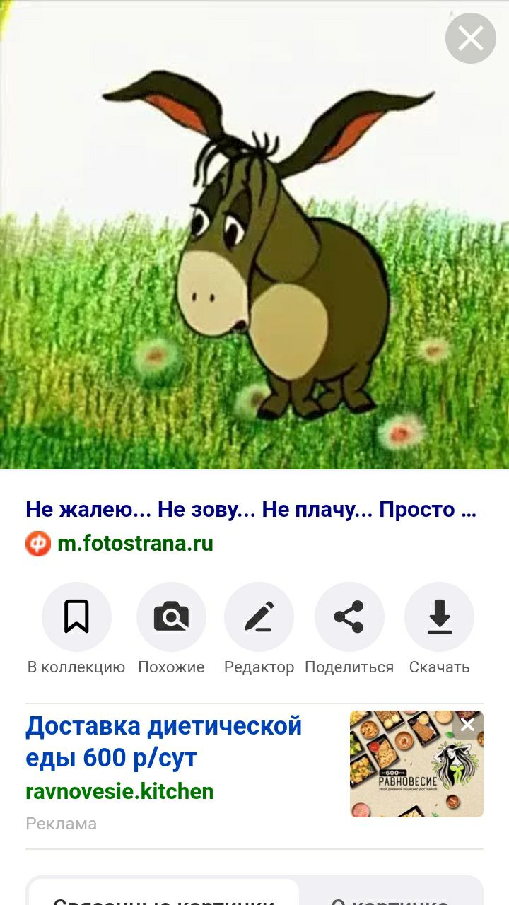 Не жалею Не зову Не плачу Просто тіотозтгапажи Паг Вкоппекцию Похожие Редактор Поделиться Скачать Доставка диетической еды 600 рсут гачпочезіемітспеп
