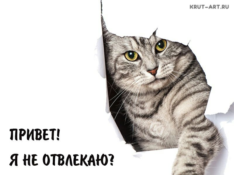 КПЦТ АПГЛЦ ПРИВЕТ Я НЕ ОТВАЕКАЮ