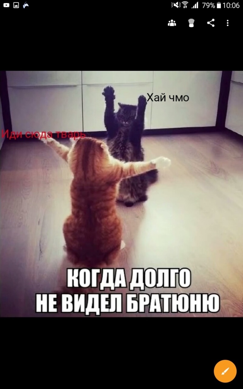 в 121 177 791006 газ