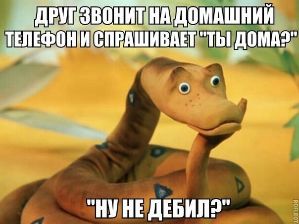 Ш Е дЕБИЛ