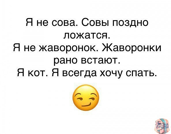 Я не сова Совы поздно ложатся Я не жаворонок Жаворонки рано встают Я кот Я всегда хочу спать