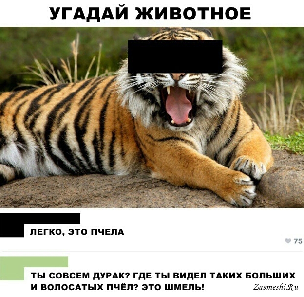 АдАЙ животное ЛЕГКО ЭТО ПЧЕПА ТЫ СОВСЕМ дУРАК ГДЕ ты ВИДЕП ТАКИХ БОЛЬШИХ И ВОПОБАТЫХ ПЧЁЛ ЭТО ШМЕП