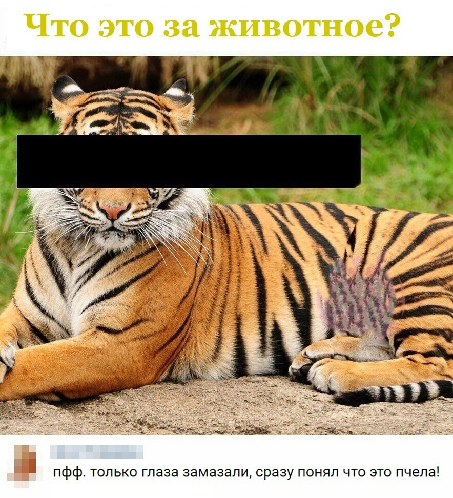 пфф только глаза замазапи сразу понял что это пчела