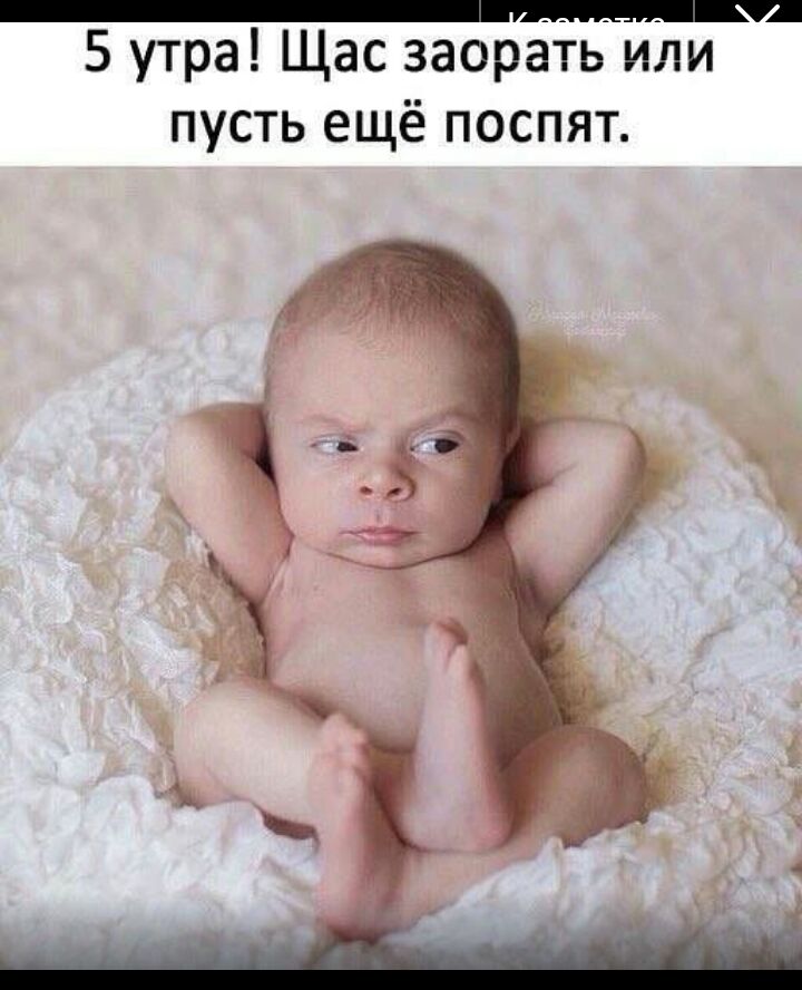 5 утра Щас заораііьі Или пусть ещё поспят