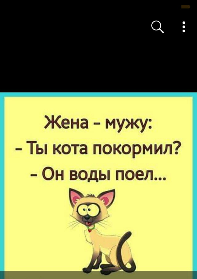 Жена мужу Ты кота покормип Он воды поел 7