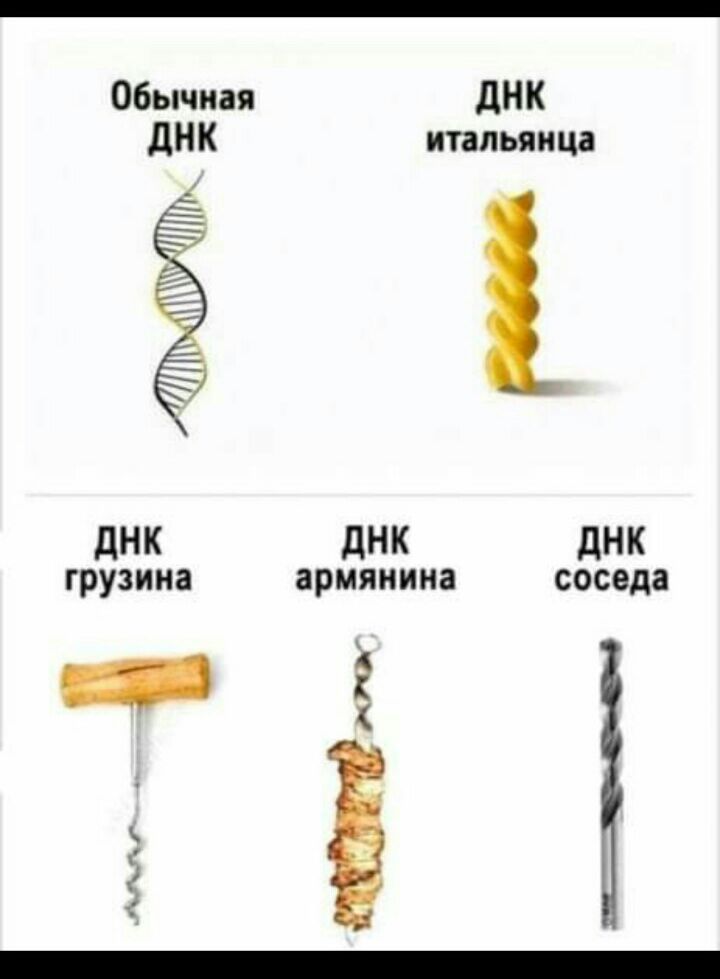 Обычная дНК дНК итальянца дНК дНК днк грузина армянина соседа _ 2 м г