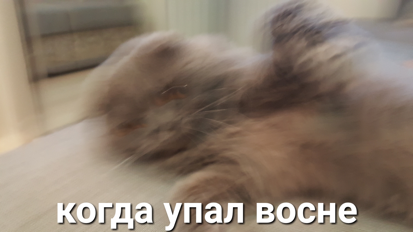 когда