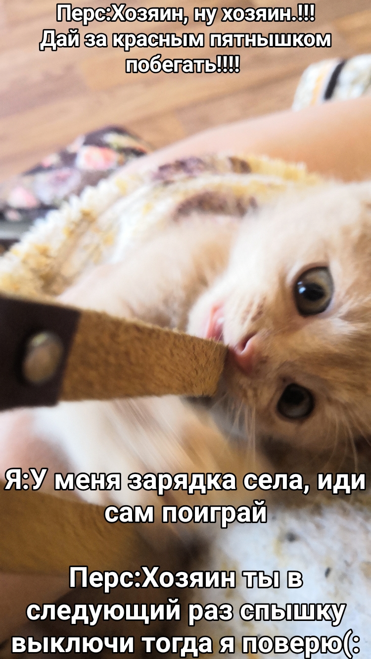 _ ПерсХозяин ТЫ В следующий раз выключи тогда ЯЗ