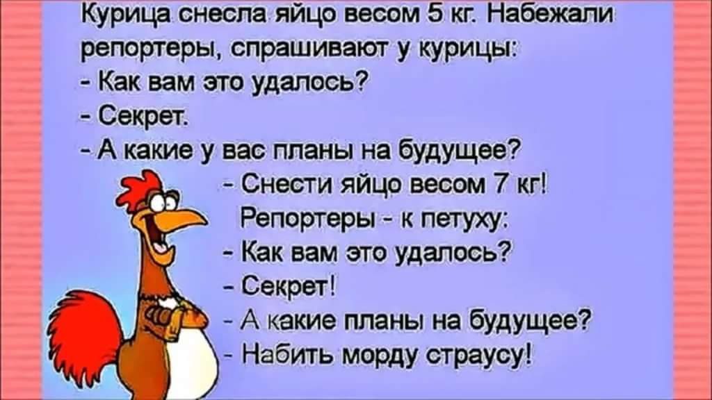 Курица снесла яйцо весом 5 кг Набежапи репортеры спрашивают у курицы Как вам это удалось Секрет А какие у вас планы на будущее Снести яйцо весом 7 кг Репортеры к петуху Как вам это удалось Секрет А какие планы на будущее Набить морду страусу
