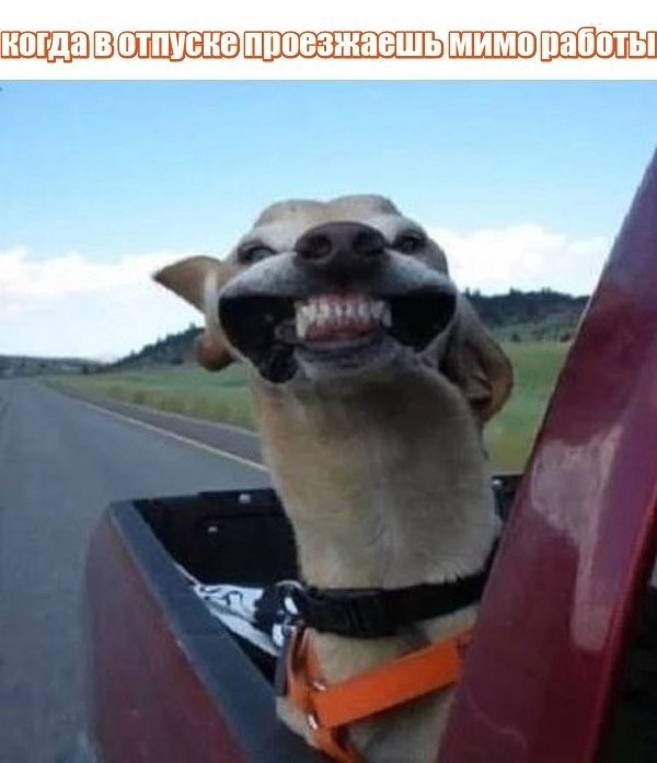 ноша ВОПШШВЮШШШ оты